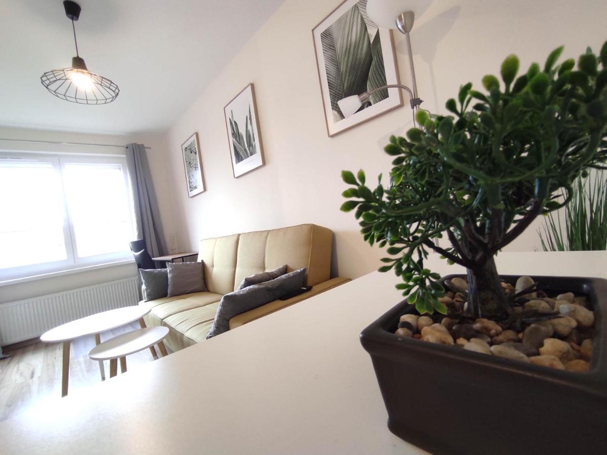 ***Casablanca Apartament*** - 40m² ✓ Rybnik  Esterno foto